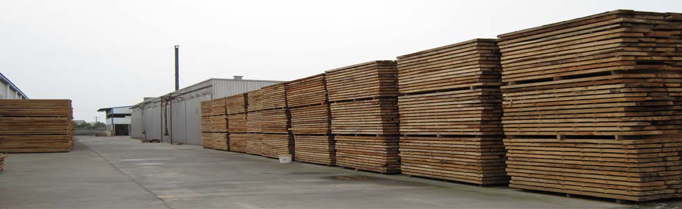 ����ľ���b